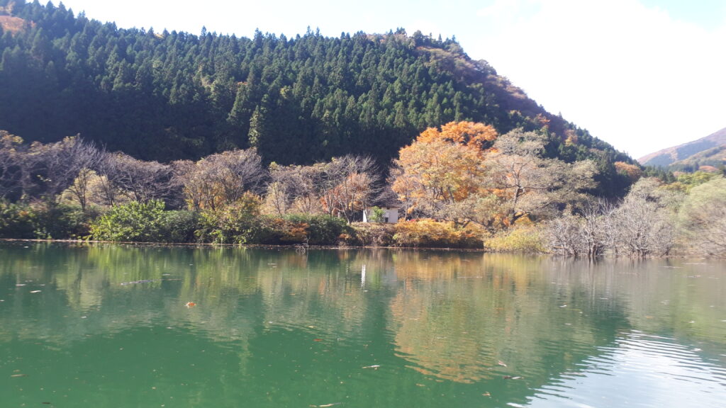 川自然観察の森が見えてきた