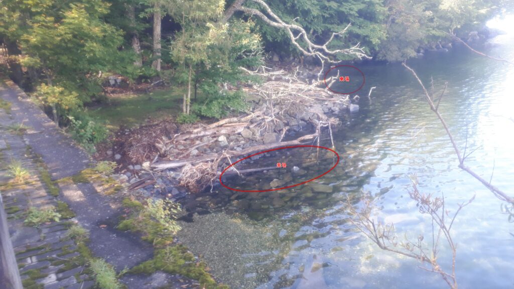 足場の悪い出艇地