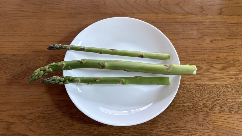 太いアスパラも収穫できた