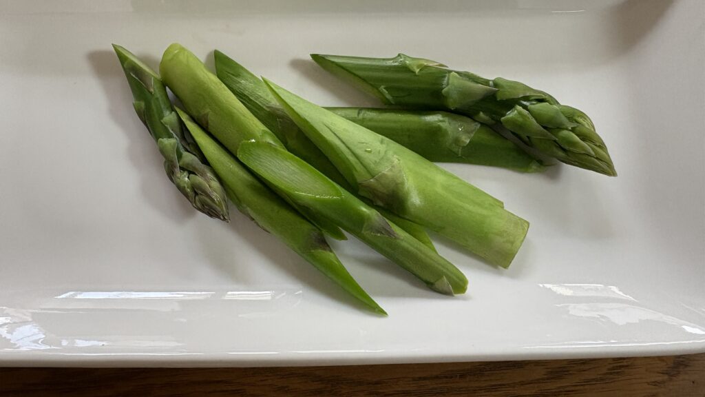 取り立ては新鮮でとても美味しい！