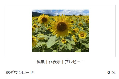 夏のひまわり畑を広角で撮影した風景写真。季節系で投稿数が多く差別化が難し