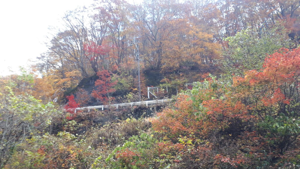 宝川に向かう道路が見える