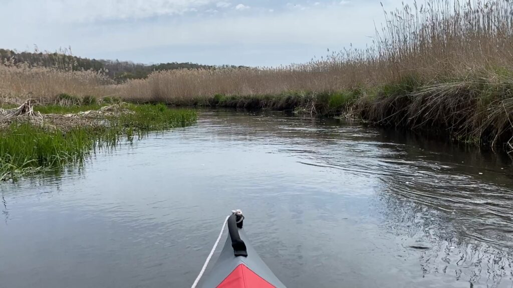 川幅が狭くなる