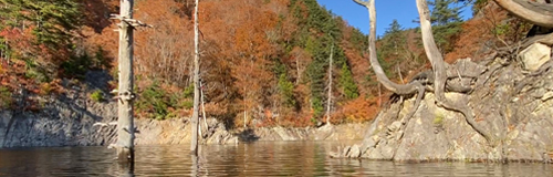 「ならまた湖 カヤック・SUP体験」