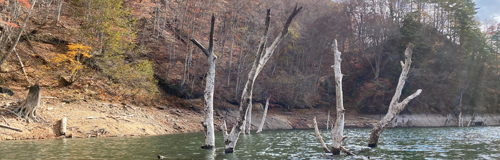 「洞元湖 カヤック・SUP体験」