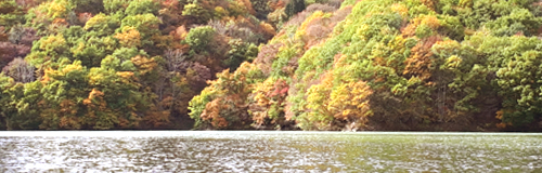 「藤原湖 カヤック・SUP体験」