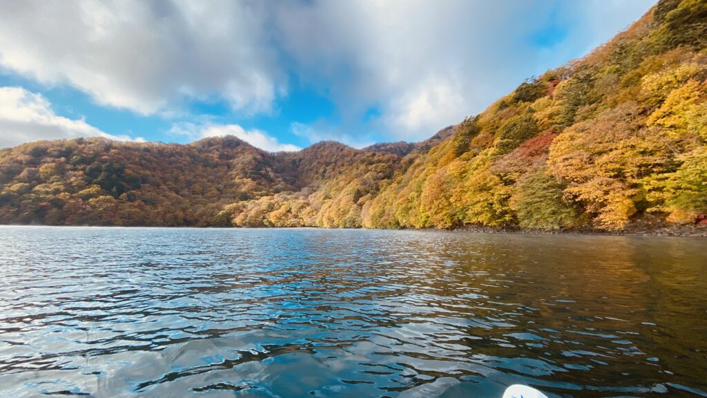 どこも綺麗な紅葉