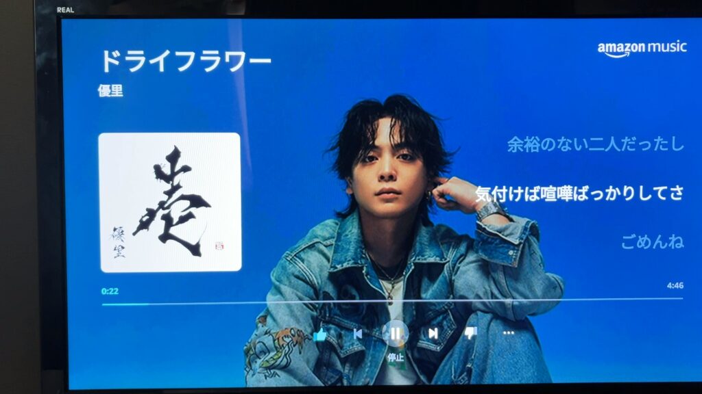 テレビで歌詞が流れる