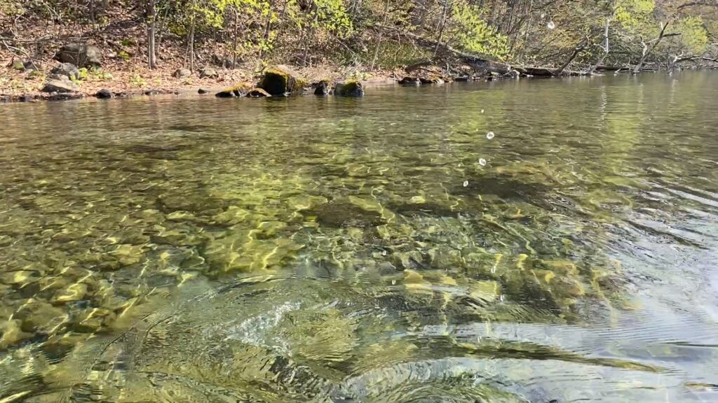 反対側は水が綺麗