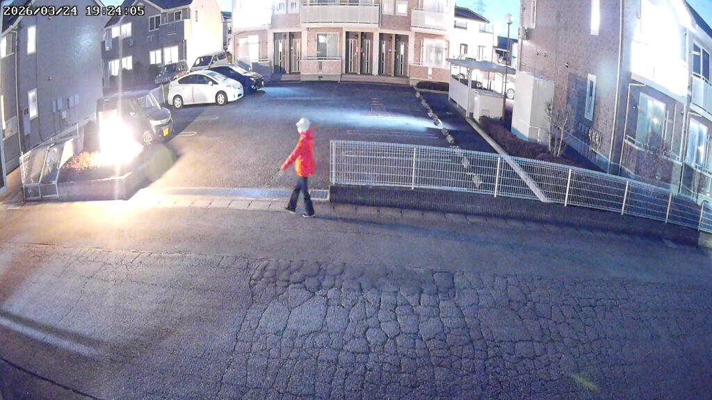 服装の色もハッキリわかる