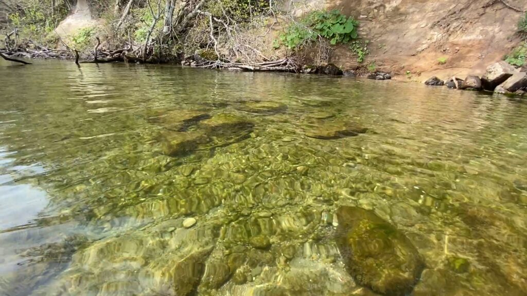 透き通った湖面