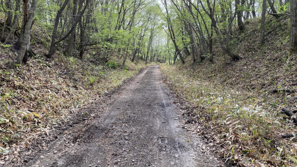一人では歩きたくない林道