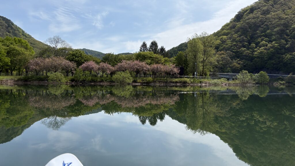 八重桜もまだ咲いていた