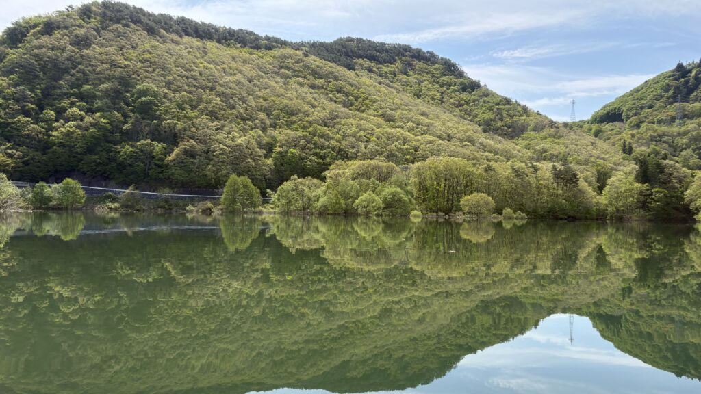 ここにも水没林