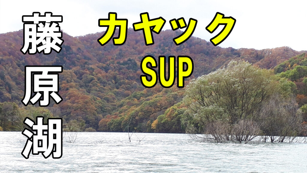 藤原湖水没林