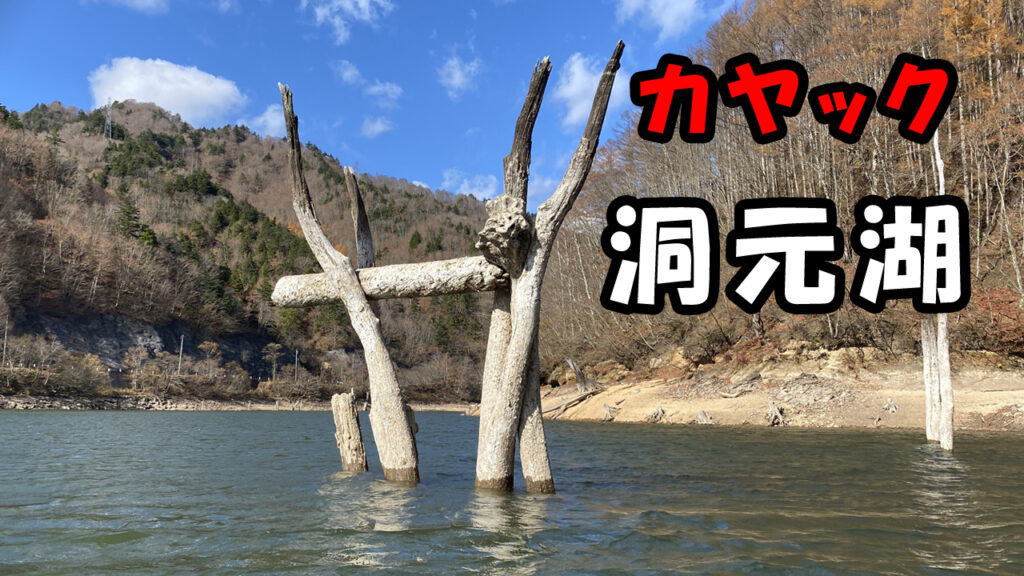 芸術的な倒木に驚き