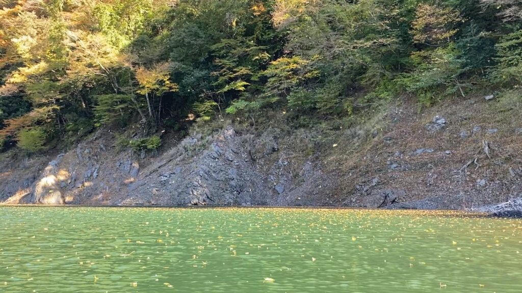 突風で落ち葉が舞う