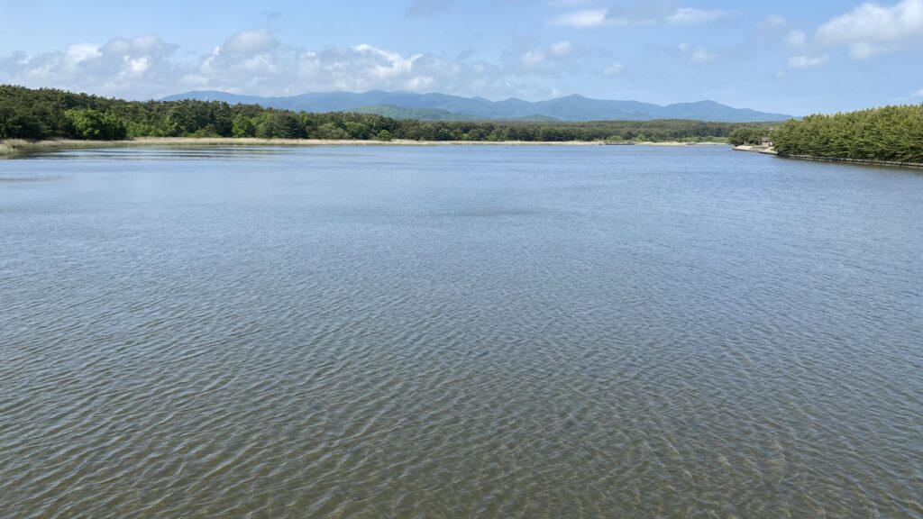 浅瀬が広がる十三湖