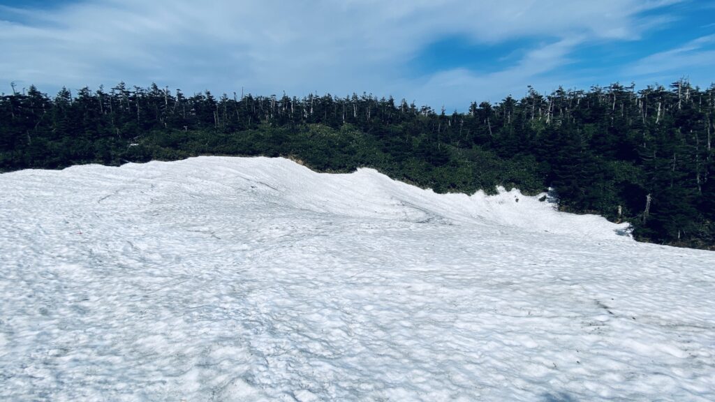 一面雪景色