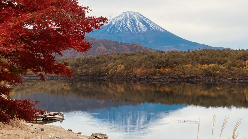紅葉と富士山