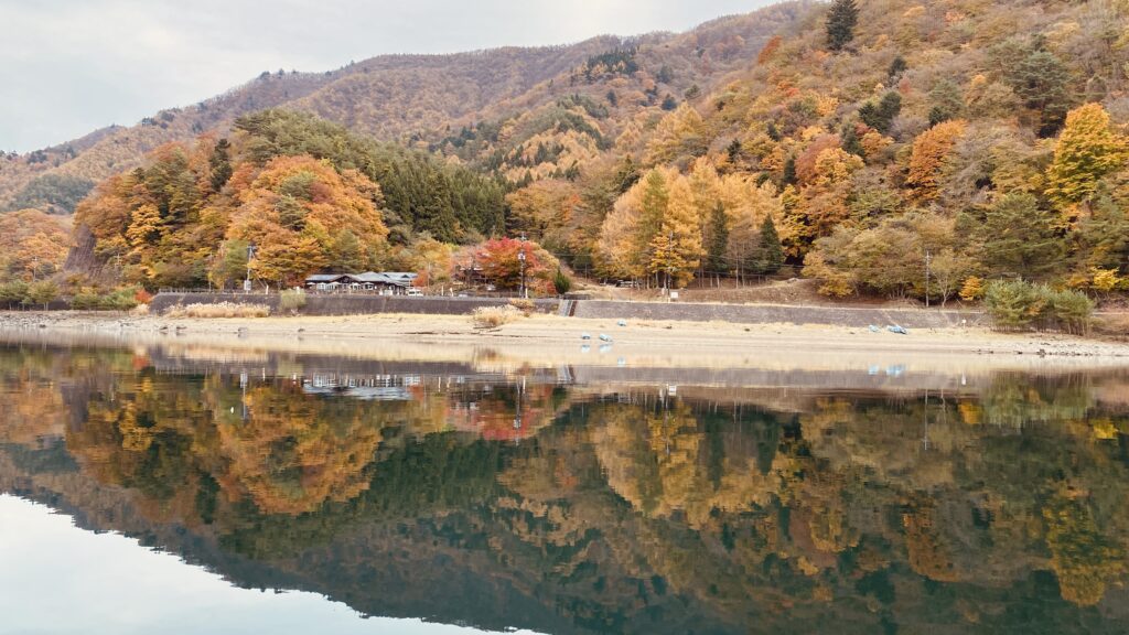 湖岸風景