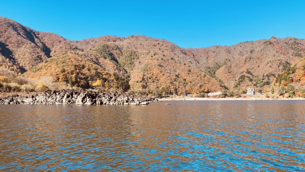 晴天の紅葉と岩壁