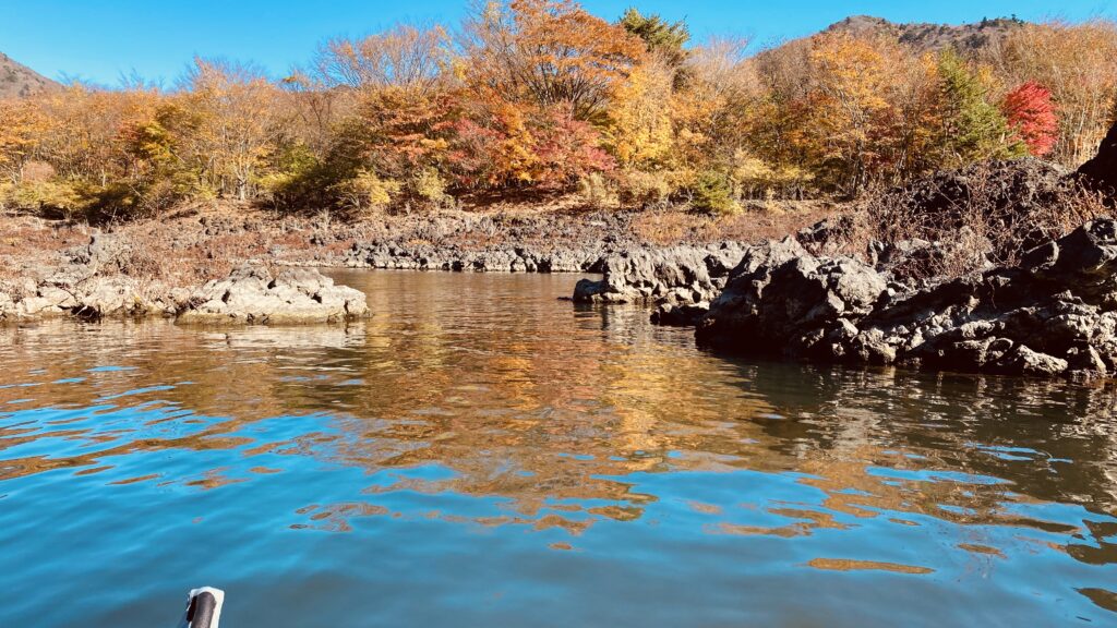 紅葉と溶岩石