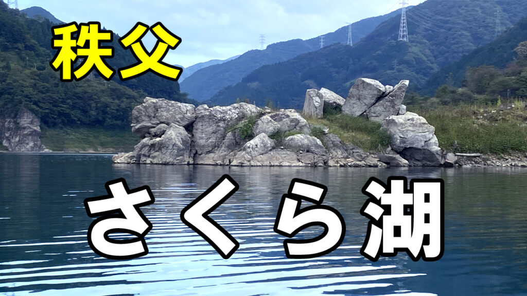 秩父さくら湖動画